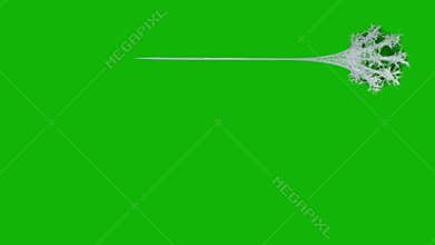 Web top quality animated green screen video 4k