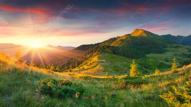 Beautiful summer landscape in the mountains