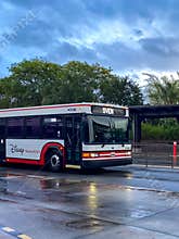 disney transport bus