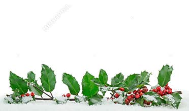 Christmas Holly on Snow