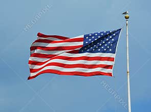 American flag waving in a sky