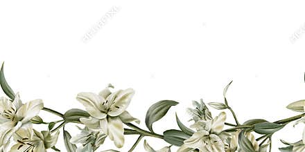 Template of seamless border of white lilies in watercolor clipart as a symbol of purity and innocence.Decoration for