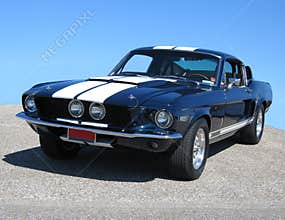 Shelby