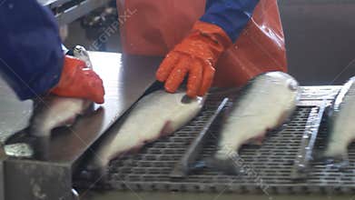 Midsection of workers