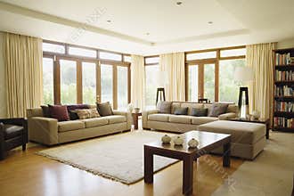 Modern living room with sofa