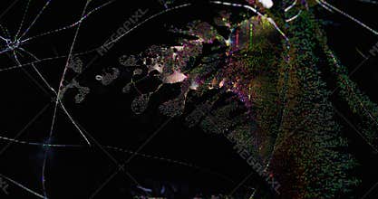 Spill fluid broken electronic signal artifacts