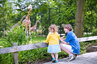 Brother and sister watching giraffes in a zoo