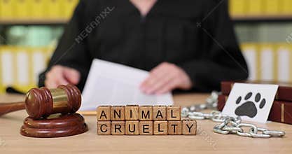 Courtroom discussion on animal cruelty laws and their impact on protection and justice