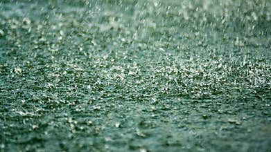 Rain drops falling on the surface of the lake