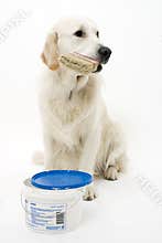 Painting retriever
