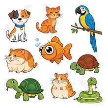 Variety of cartoon animals isolated on white background