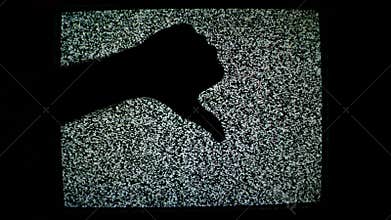 Thumb up and thumb down for like and dislike or Approval and disapproval concept against static TV noise background.