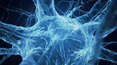 Animated glowing neuron closeup with branching dendrites and axon