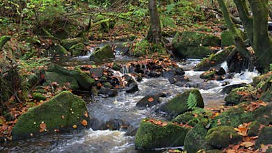 Autumn woodland and cascading water at Wyming Brook in the Derbyshire, Peak District National Park