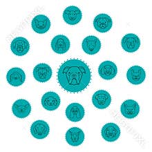 Collection of dog icons. Vector illustration decorative background design