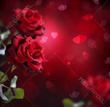 Valentine