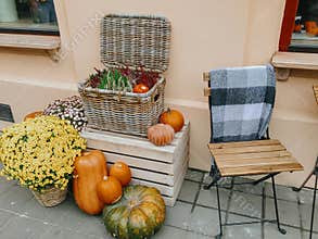 Halloween street decor. Pumpkins and autumn flowers in baskets on wooden boxes, rustic modern decor of city street in fall. Happy