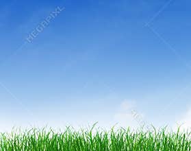 Green Grass Under Blue Clear Sky