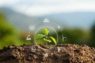 Seedling with bubble of eco icon with green nature background