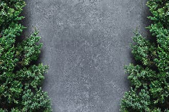 Christmas background with borders of fluffy green fir branches on a textured dark gray background