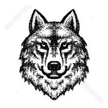 Wolf head logo 28, Detailed ink drawing