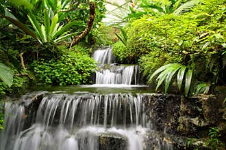 Waterfall in the Rain Forest