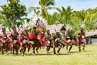 Dance ceremony, Kopar village, Sepik River, Papua New Guinea. Impressive traditional dragon dance ceremony in raffia skirts