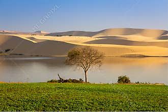 Contrast between the lushness and aridity