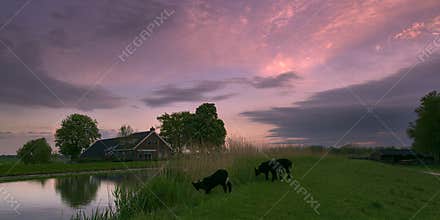 Farm scene at dawn