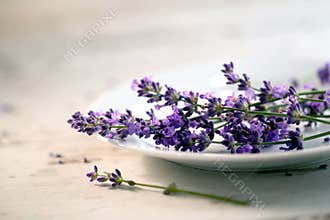 Fresh stems of lavender laying on a white dish