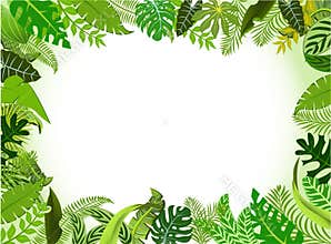 landscape background of the jungle, with ornaments from leaves and foliage of tropical plants and trees