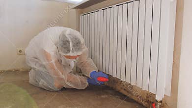 Removing Mold From Internal Walls. Elimination of mold at home under the heating battery.