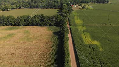Aerial view of beautiful farm fields and a dirt road.
