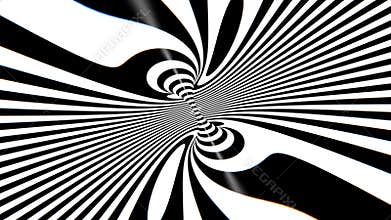 Black and White Visual