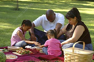 Bi-racial Family Picnic