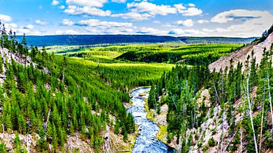 The Gibbon River downstream of Gibbon Falls in Yellowstone National Park