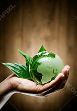 Hand with eco globe