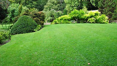 Garden Lawn