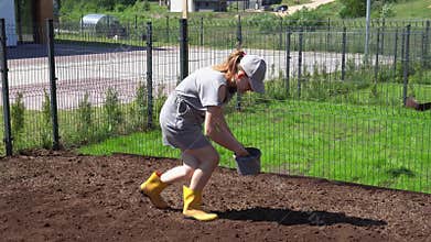 Woman hands planting sowing new lawn grass seeds into soil in townhouse yard.