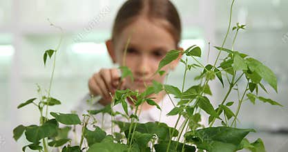 Kid in Chemistry Lab, School Child in Science Growing Seedling Plants, Student Girl Studying Biology Class