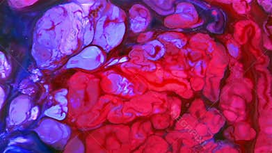 Slow Motion Macro Abstract Pattern Artistic Concept Color Surface Moving Surface Liquid Paint Splashing Art Design Texture