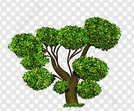 Tree Png with dense leave  isolated on Transparent background