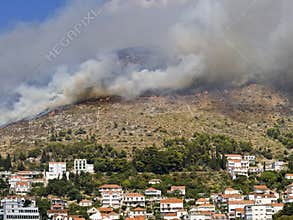 Fire disaster