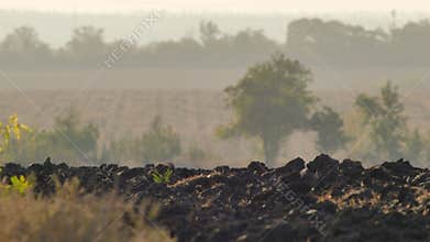 Plowed farmland at sunset on warm autumn day