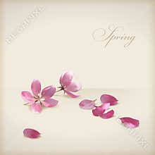 Floral vector cherry blossom flowers spring design