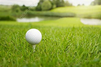Golf ball at the course