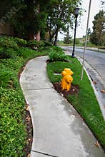 Trod in los angeles