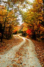 Long and Winding Road
