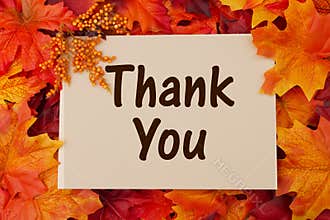 Thank You card with fall leaves