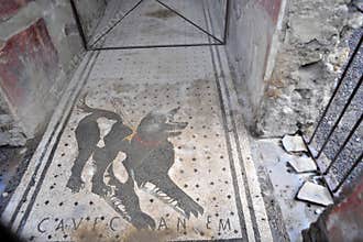 he black mosaic dog in the city of Pompeii destroyed in 79AC by the eruption of Vesuvius volcano